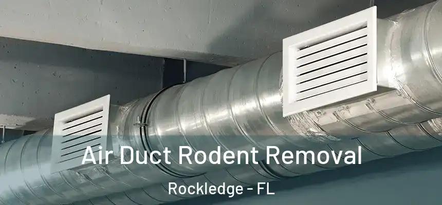 Air Duct Rodent Removal Rockledge - FL