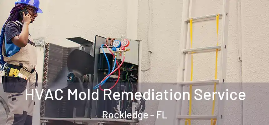 HVAC Mold Remediation Service Rockledge - FL