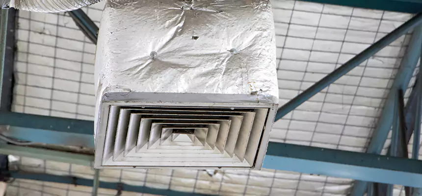 Our HVAC Mold Remediation Service Services in Rockledge, FL
