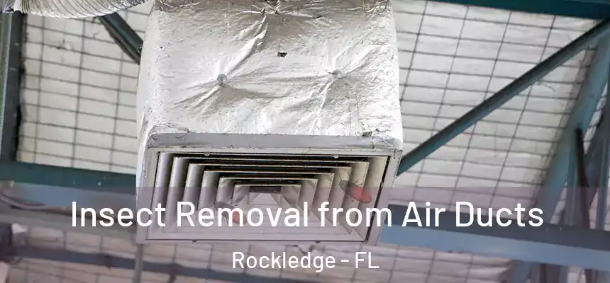 Insect Removal from Air Ducts Rockledge - FL
