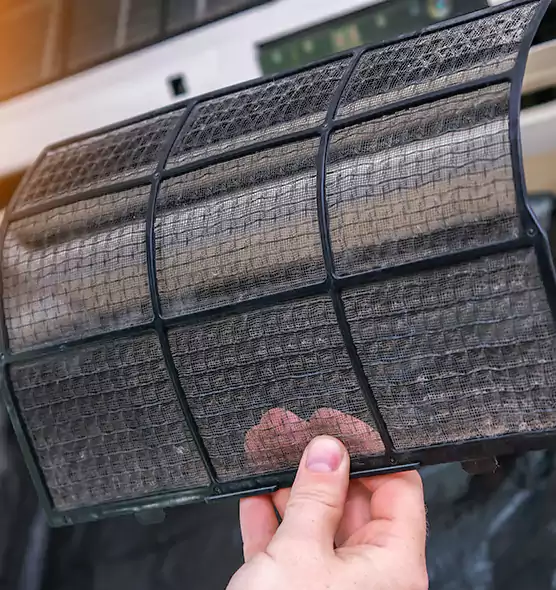 About Pet Dander Duct Cleaning in Rockledge, FL